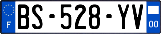 BS-528-YV