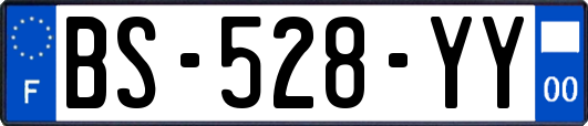 BS-528-YY