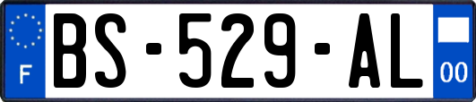 BS-529-AL