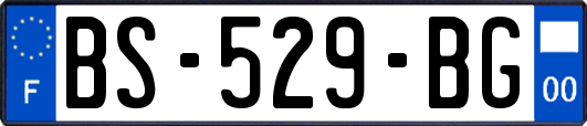 BS-529-BG
