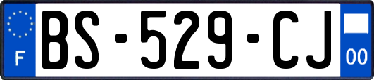 BS-529-CJ