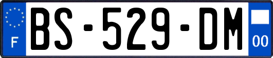 BS-529-DM