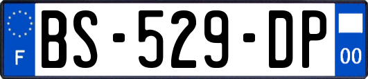 BS-529-DP