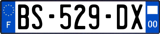 BS-529-DX