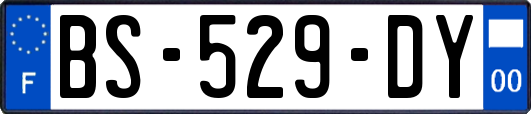 BS-529-DY