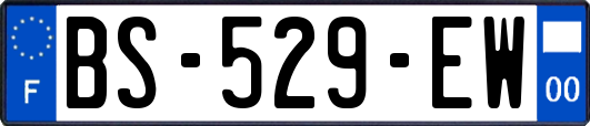 BS-529-EW