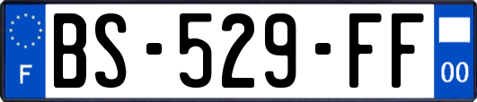 BS-529-FF