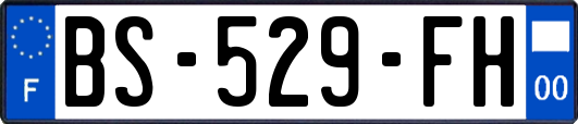 BS-529-FH