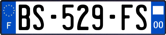 BS-529-FS