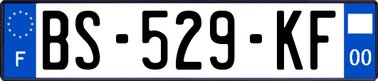 BS-529-KF