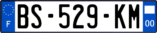 BS-529-KM