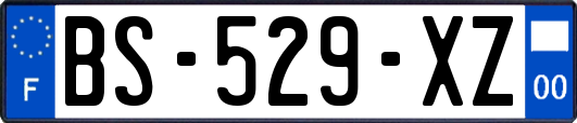 BS-529-XZ