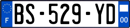 BS-529-YD