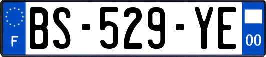 BS-529-YE
