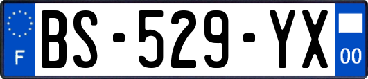 BS-529-YX