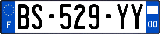 BS-529-YY