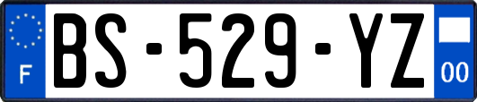 BS-529-YZ