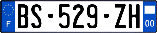 BS-529-ZH