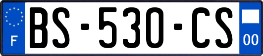 BS-530-CS
