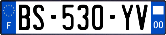 BS-530-YV