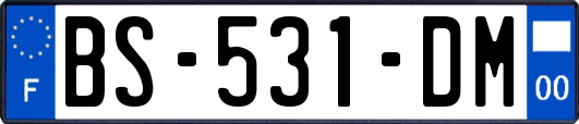 BS-531-DM