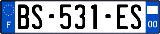 BS-531-ES