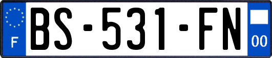 BS-531-FN