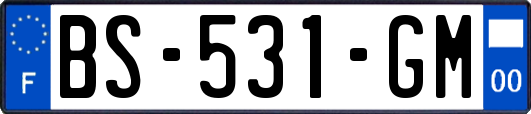 BS-531-GM