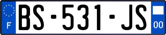 BS-531-JS