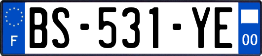 BS-531-YE