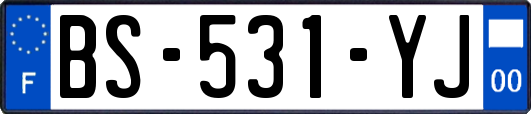 BS-531-YJ