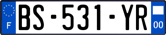 BS-531-YR