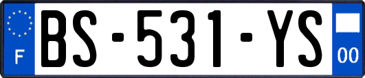 BS-531-YS
