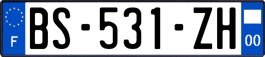 BS-531-ZH