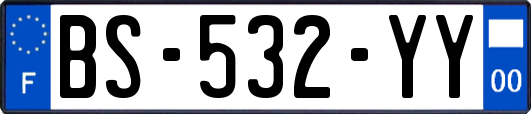 BS-532-YY