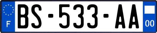 BS-533-AA