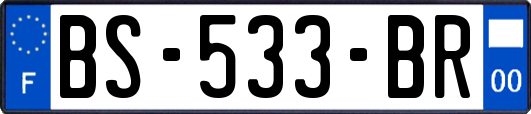 BS-533-BR