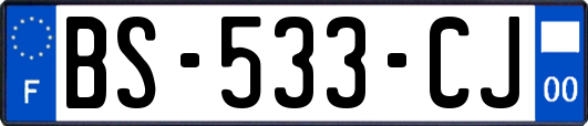 BS-533-CJ