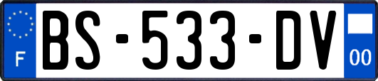 BS-533-DV