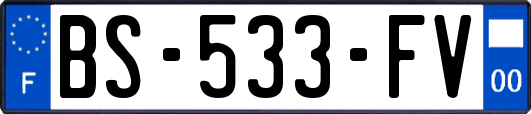 BS-533-FV