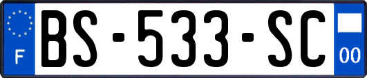 BS-533-SC