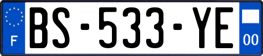BS-533-YE