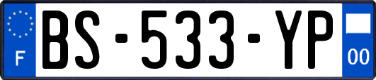 BS-533-YP