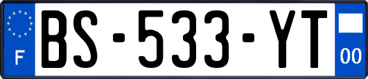 BS-533-YT