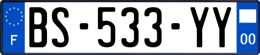 BS-533-YY