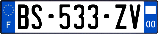 BS-533-ZV