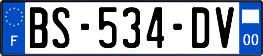 BS-534-DV