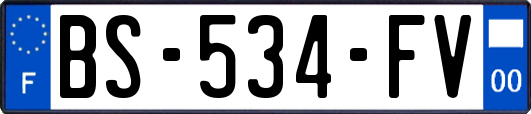 BS-534-FV