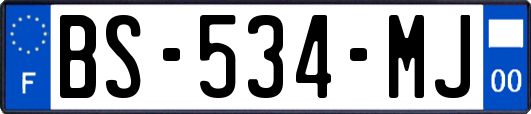 BS-534-MJ