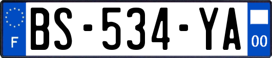 BS-534-YA